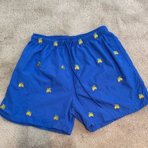 Men’s Blue Swim Shorts with Lemon Embroidery Warren Webber Beachwear Size L